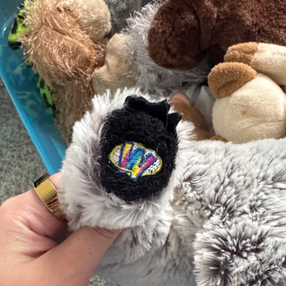 Webkinz Raccoon - Picture 3 of 6